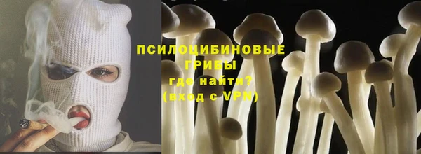 ECSTASY Армянск