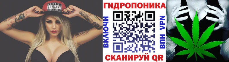 как найти закладки  Малоярославец  блэк спрут вход  МАРИХУАНА LSD WEED 